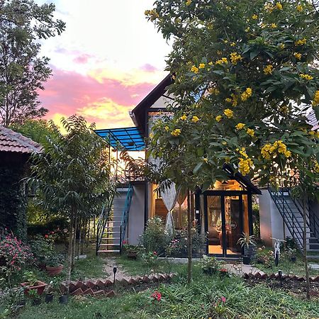 Chalets Resort Masinagudi Ooty Eksteriør bilde