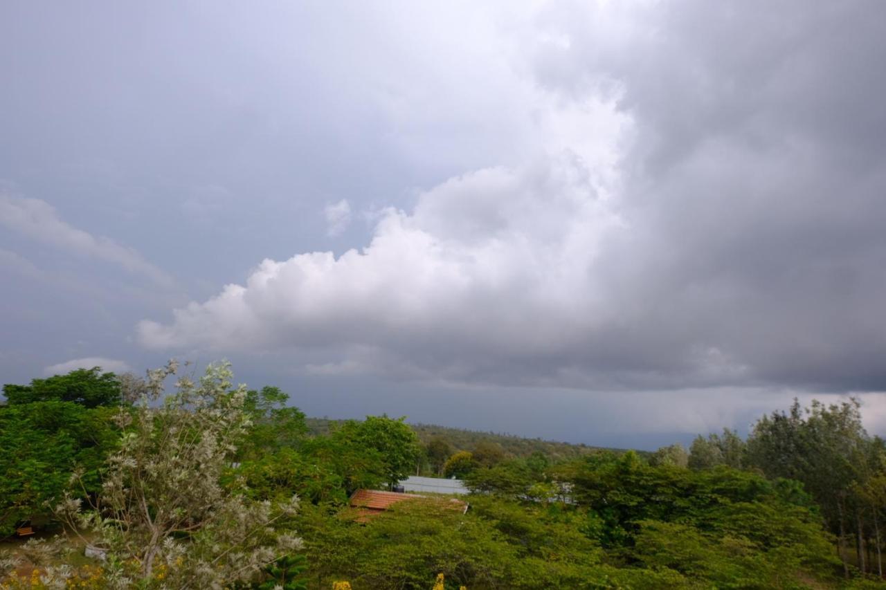 Chalets Resort Masinagudi Ooty Eksteriør bilde