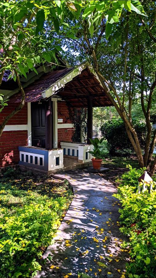 Chalets Resort Masinagudi Ooty Eksteriør bilde