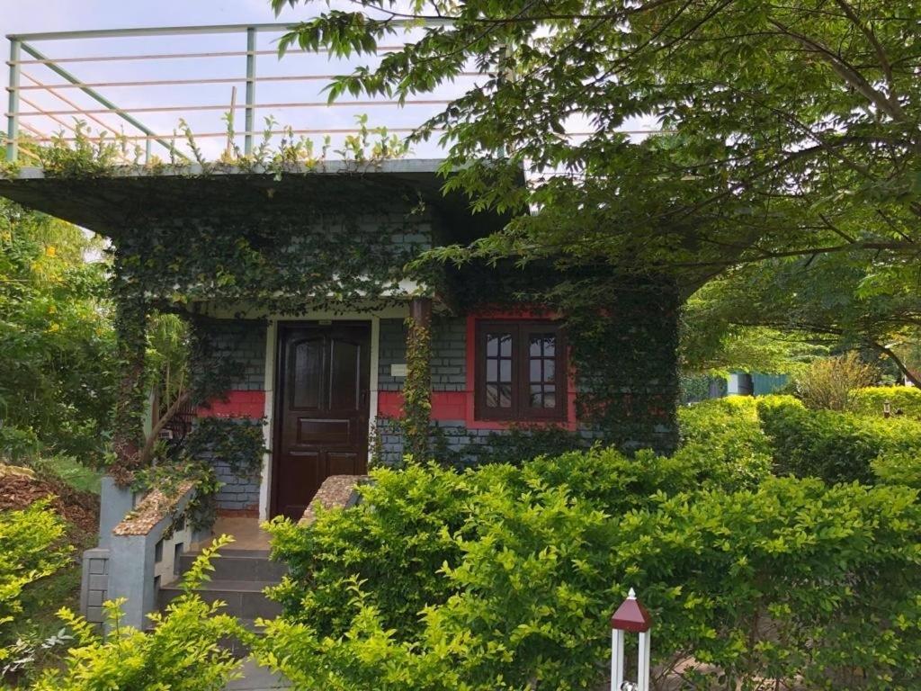 Chalets Resort Masinagudi Ooty Eksteriør bilde