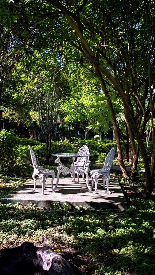 Chalets Resort Masinagudi Ooty Eksteriør bilde