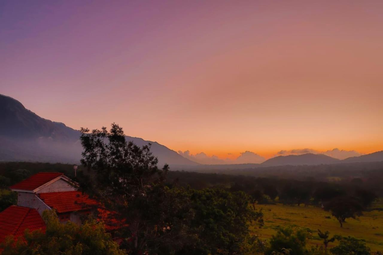 Chalets Resort Masinagudi Ooty Eksteriør bilde