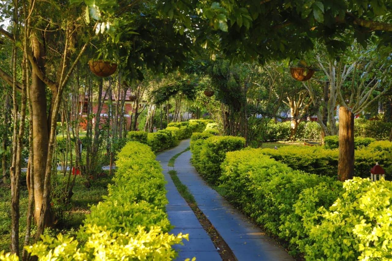 Chalets Resort Masinagudi Ooty Eksteriør bilde