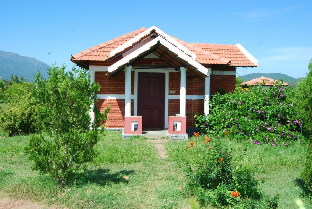 Chalets Resort Masinagudi Ooty Eksteriør bilde