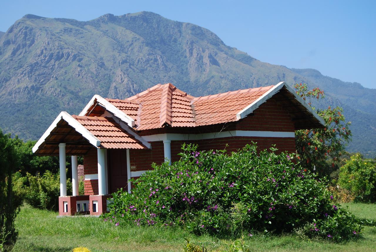 Chalets Resort Masinagudi Ooty Eksteriør bilde